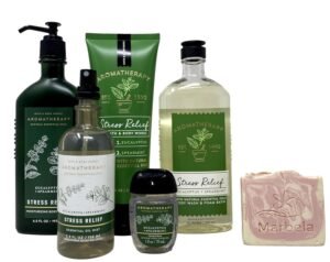 Bath & Body Works Aromatherapy Stress Relief Eucalyptus Spearmint Gift Set – Body Lotion, Wash + Foam Bath, Body Cream, Essential Oil Mist, Hand Gel, Himalayan Salts Springs Sample Soap