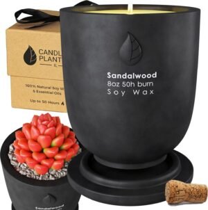 Matani Concrete Cement Candle Planter – Aromatherapy Black Sandalwood Scented Soy Candles – Dual Purpose Gift Jar Candles