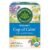 Traditional Medicinals Tea, Organic Cup of Calm, Calming & Relaxing with Chamomile Mint, 16 Tea Bags